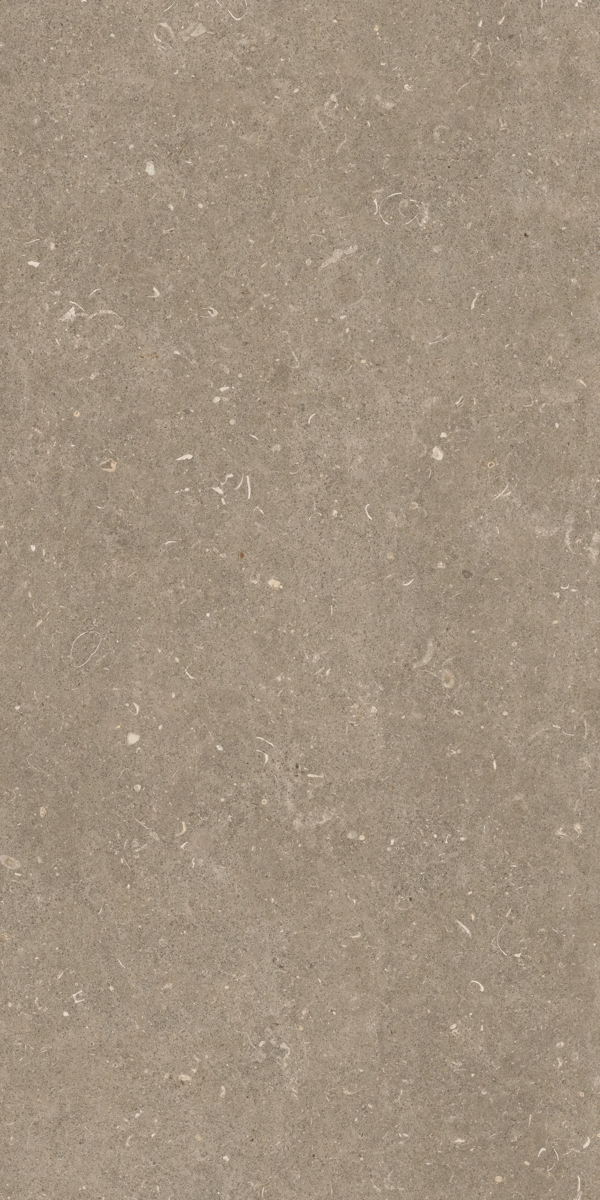 Arena Pietra Grip 20mm 60x120 (600x1200)