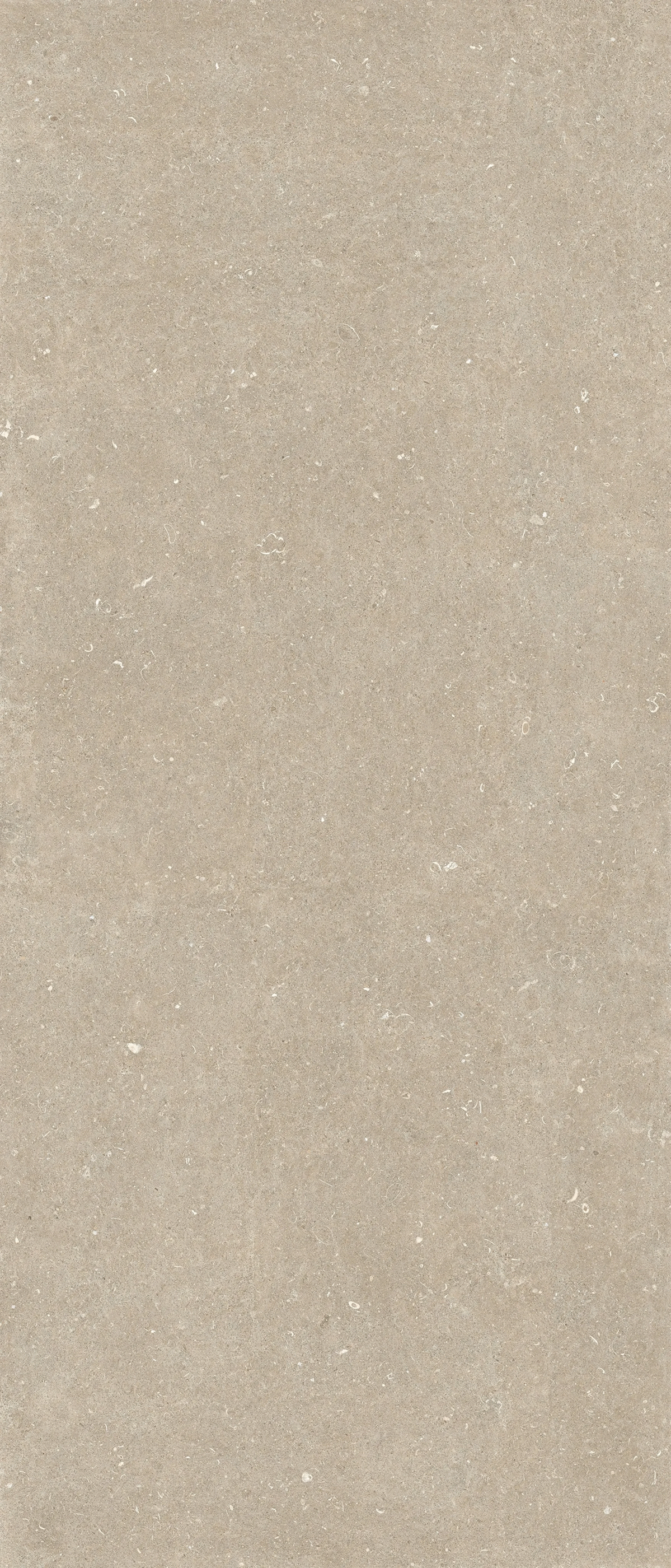 Arena Conchiglia Matte 6mm 120x240 (1200x2400)