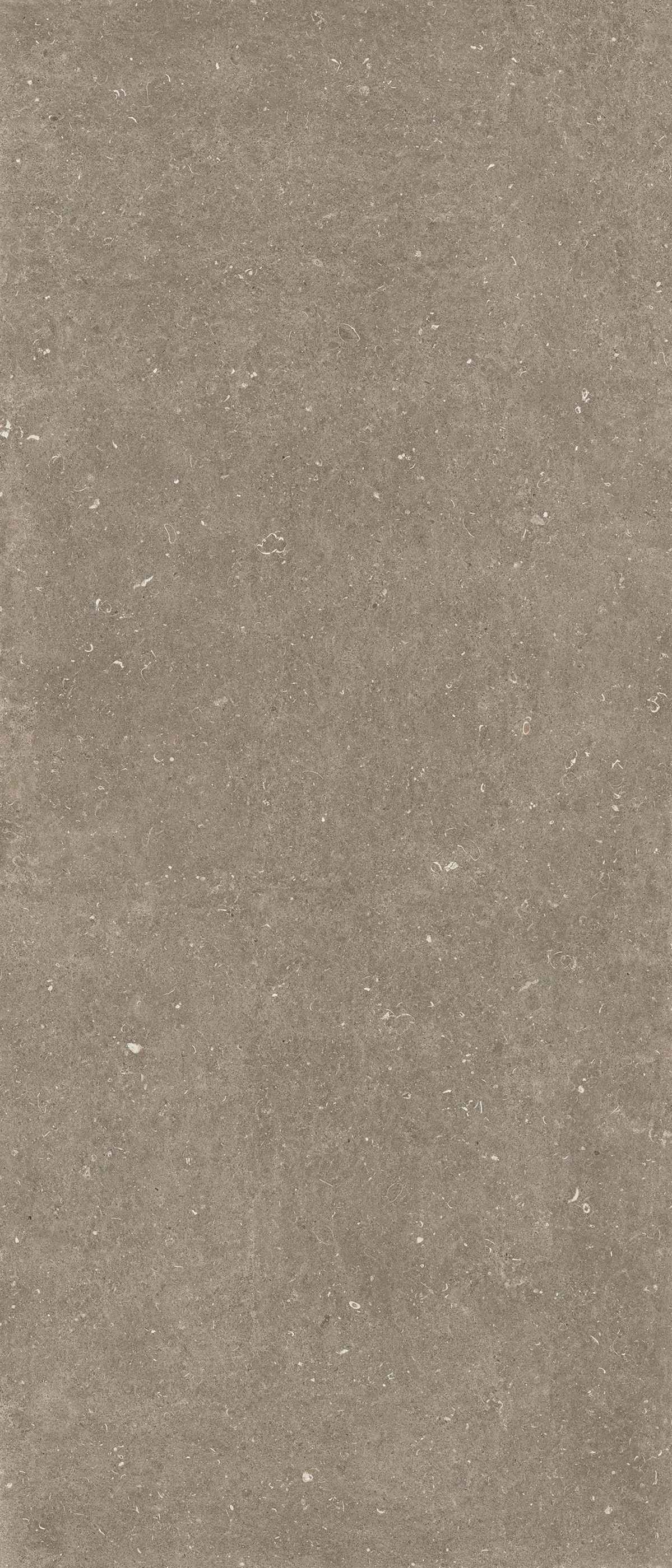 Arena Pietra Matte 6mm 120x240 (1200x2400)