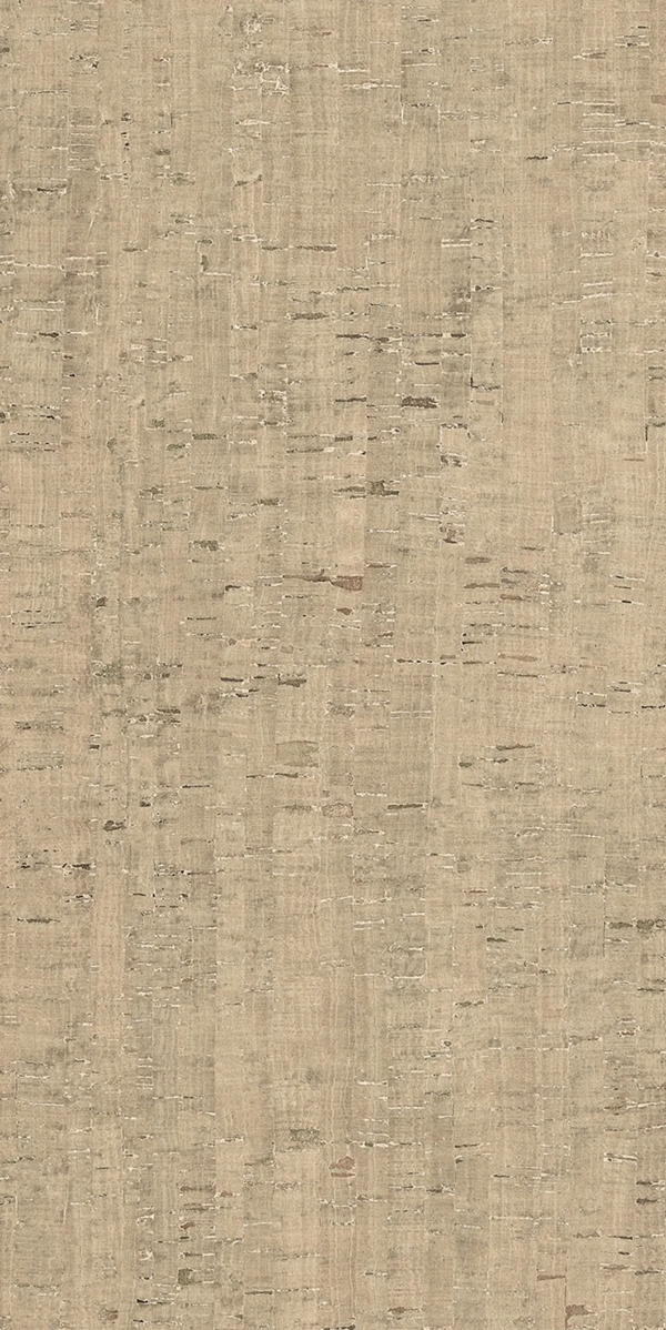 Modulo Conchiglia Matte 6mm 60x120 (600x1200)