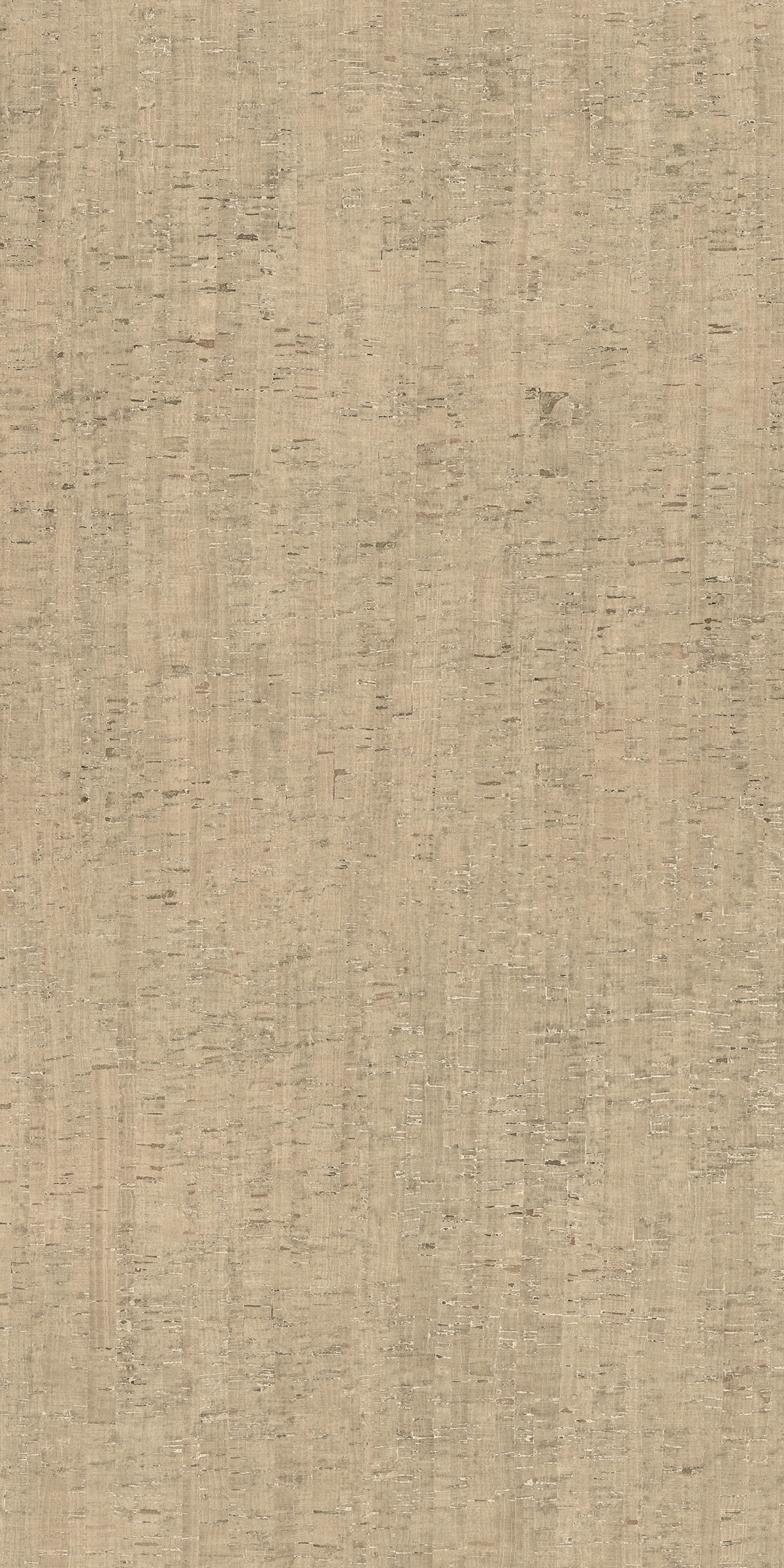 Modulo Conchiglia Matte 6mm 120x240 (1200x2400)