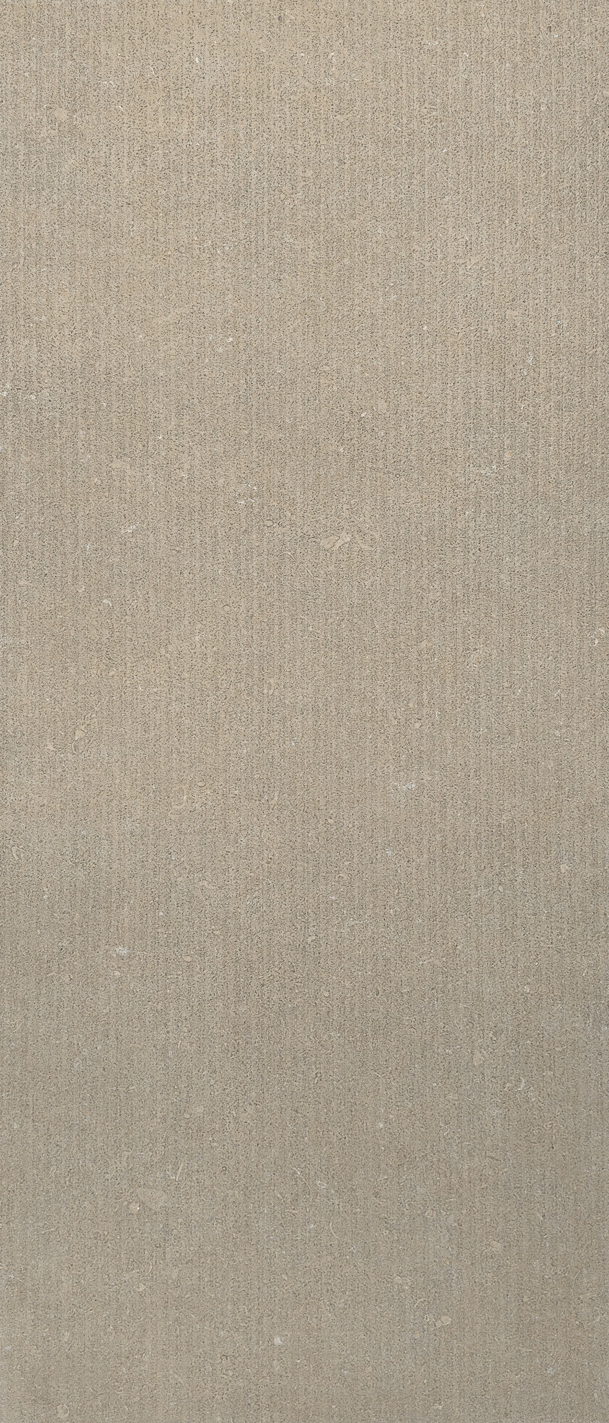 Decoro Arena Conchiglia Matte 6mm 120x280 (1200x2800)