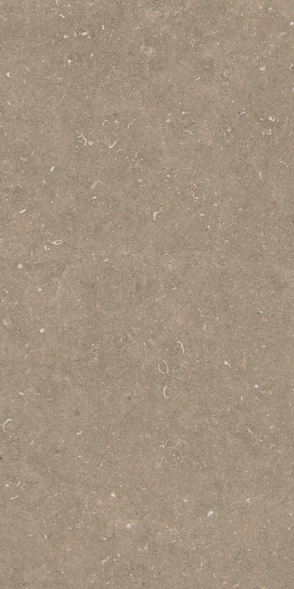 Casa Dolce Casa Rinascenza Arena Pietra Grip 20mm 60x120 ����-2