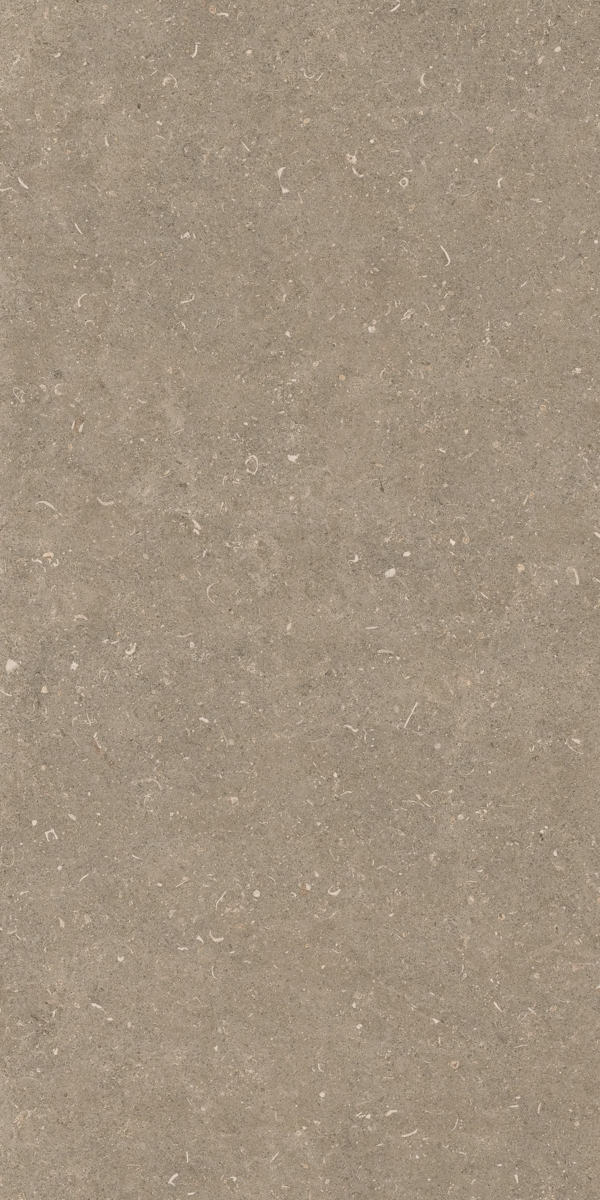 Casa Dolce Casa Rinascenza Arena Pietra Grip 20mm 60x120 ����-3