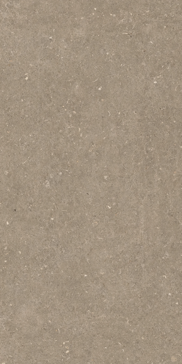 Casa Dolce Casa Rinascenza Arena Pietra Grip 20mm 60x120 ����-4