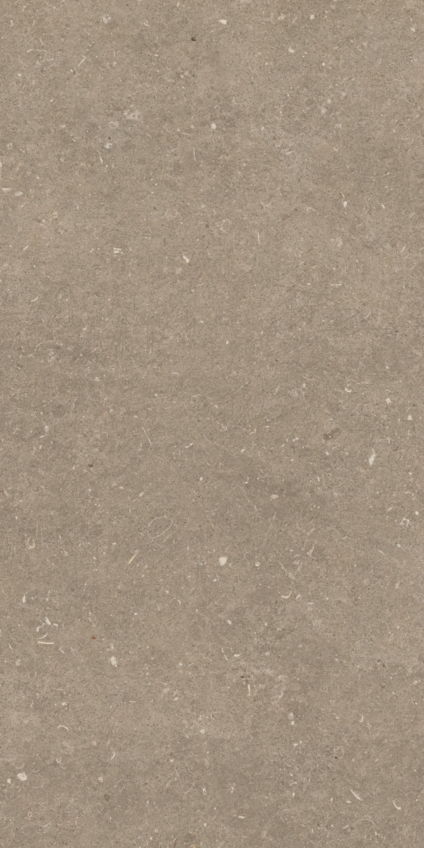 Casa Dolce Casa Rinascenza Arena Pietra Grip 20mm 60x120 ����-5