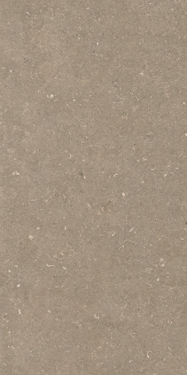 Casa Dolce Casa Rinascenza Arena Pietra Grip 20mm 60x120 ����-6