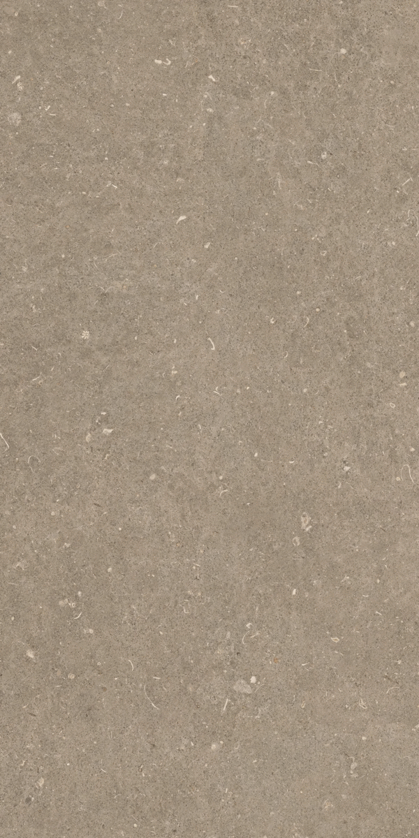 Casa Dolce Casa Rinascenza Arena Pietra Grip 20mm 60x120 ����-8