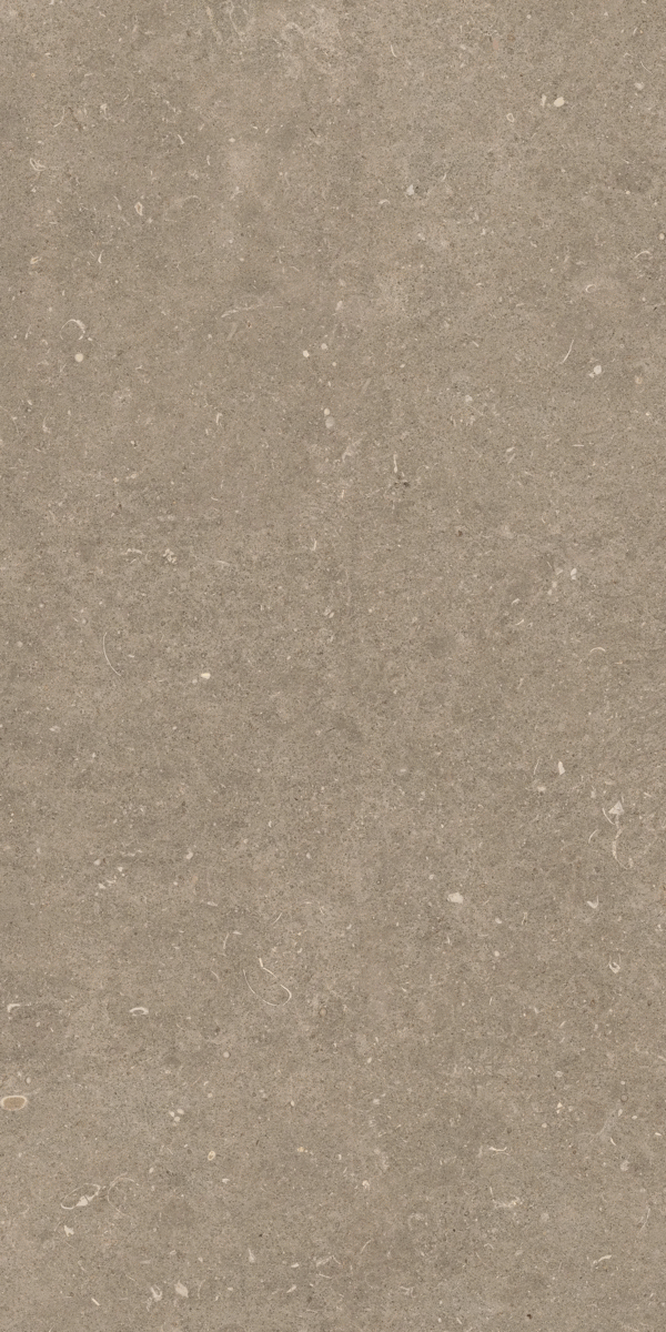 Casa Dolce Casa Rinascenza Arena Pietra Grip 20mm 60x120 ����-9