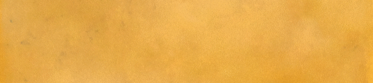 Casa Dolce Casa Sensi Colore Miele Glossy 5.7x23.2