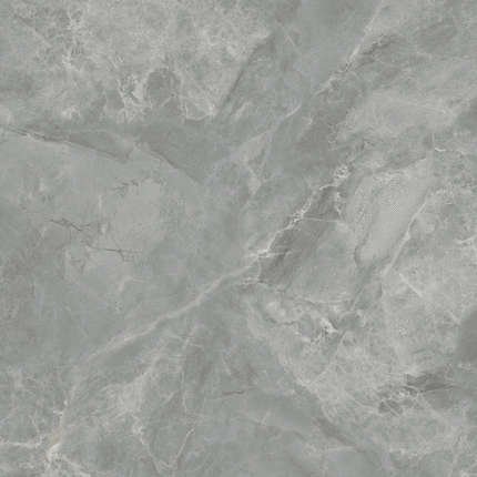 Ceradim Regnum Grigio   59.559.5