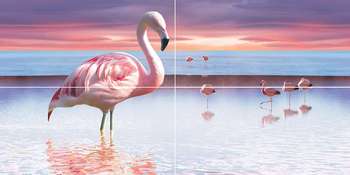 Flamingo  50x100 (1000x500)