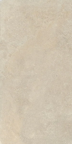 Champagne Matte 30x60 (300x600)
