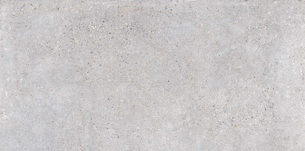 Gris Mt 59x120 (1200x590)