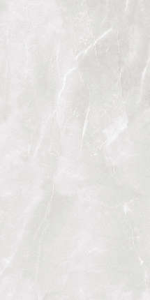 Colortile Armani Bianco 60x120