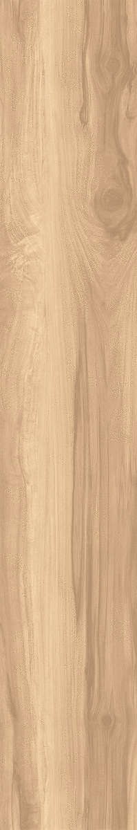 Creanza Fossil Wood Brich Rustic 20x120 -3