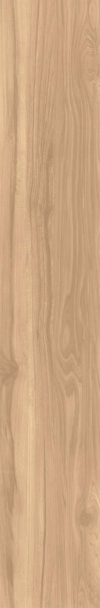 Creanza Fossil Wood Brich Rustic 20x120 -4