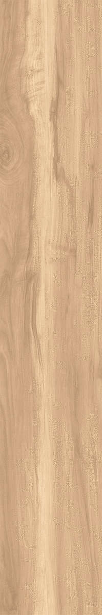 Creanza Fossil Wood Brich Rustic 20x120 -5