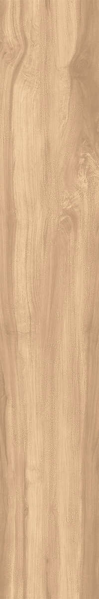 Creanza Fossil Wood Brich Rustic 20x120 -6