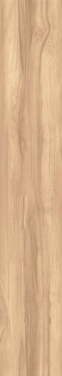 Creanza Fossil Wood Brich Rustic 20x120 -7