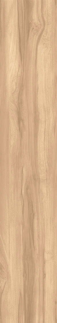 Creanza Fossil Wood Brich Rustic 20x120 -8