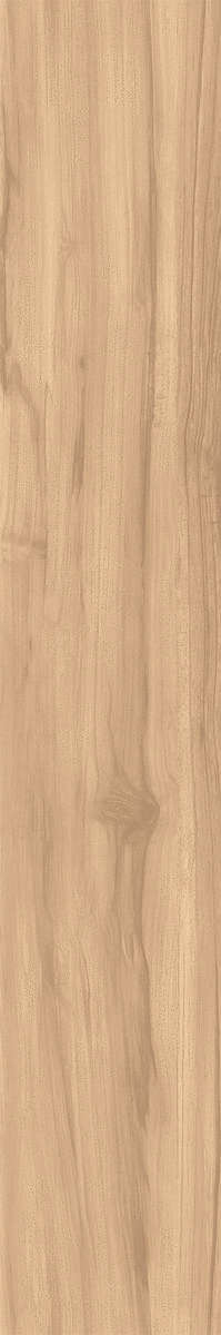 Creanza Fossil Wood Brich Rustic 20x120 -9