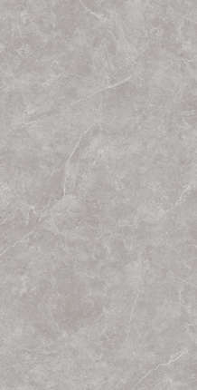 Creanza Oviedo Gris Solido 60x120