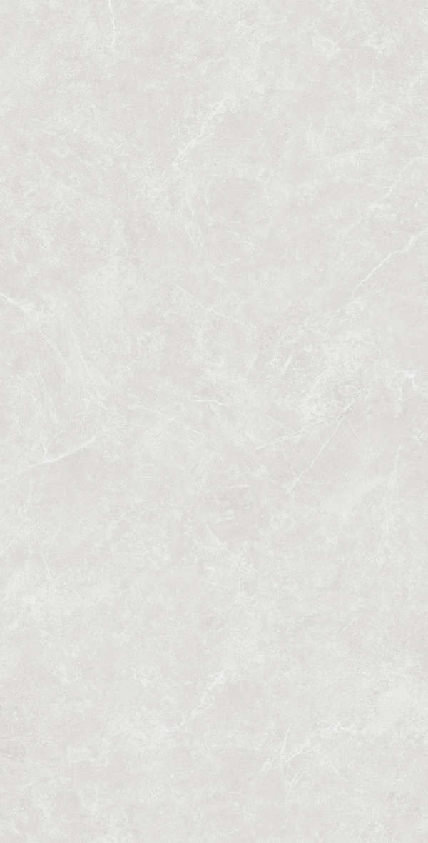 Silver Solido 60x120 (600x1200)