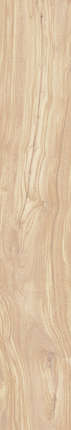 Creanza Pearsian Wood Ivory Carving 20x120
