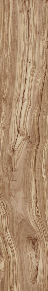 Creanza Pearsian Wood Natural Carving 20x120 -3
