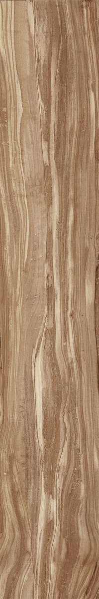 Creanza Pearsian Wood Natural Carving 20x120 -4
