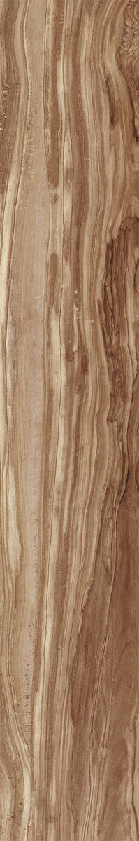 Creanza Pearsian Wood Natural Carving 20x120 -5