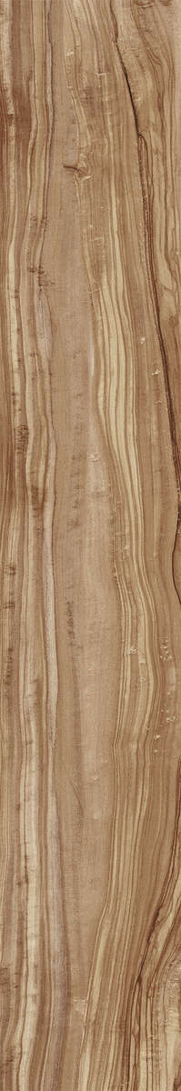 Creanza Pearsian Wood Natural Carving 20x120 -6