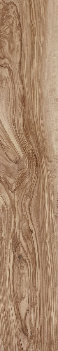 Creanza Pearsian Wood Natural Carving 20x120 -9