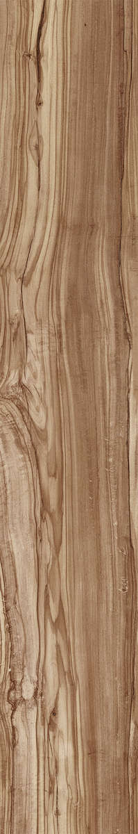 Creanza Pearsian Wood Natural Carving 20x120 -13