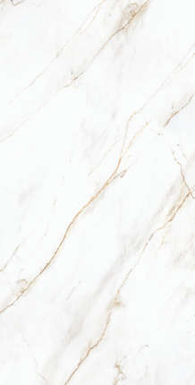 Creanza Selva Gold Carving Pro 60x120