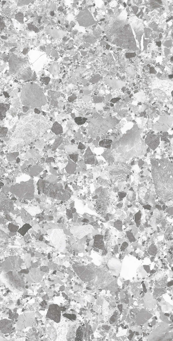 Silver Solido 60x120 (600x1200)
