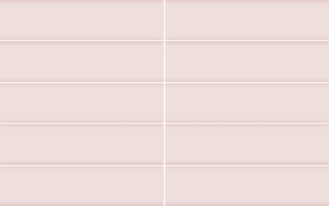Lichee 5.824 (240x58)