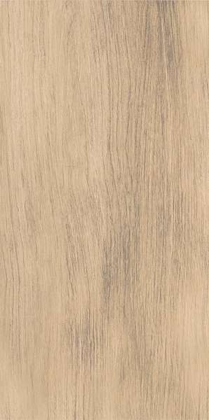 Wood Brown (300x600)