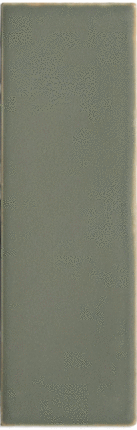 DNA Tiles Chalk Cactus  4x12.5