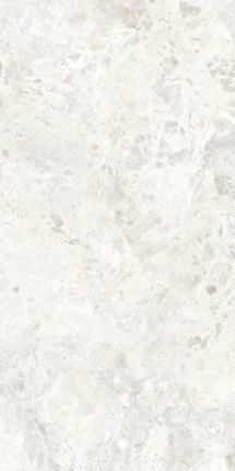 DUE-G Ceramiche Breccia Paradiso White Levigato 8.5mm 60x120