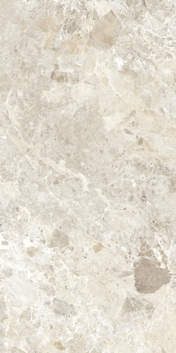 DUE-G Ceramiche Breccia Paradiso Ivory Levigato 8.5mm 60x120 -11