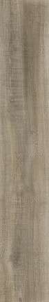 Dado Ceramica Ikon Walnut 20x122