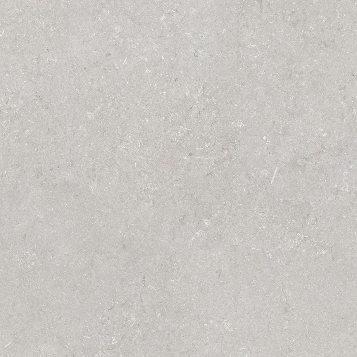 Bianco 120x120 (1200x1200)