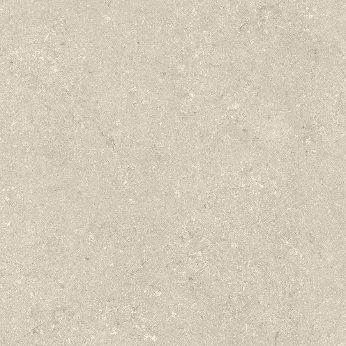 Dado Ceramica Shellstone Beige 120x120 -2