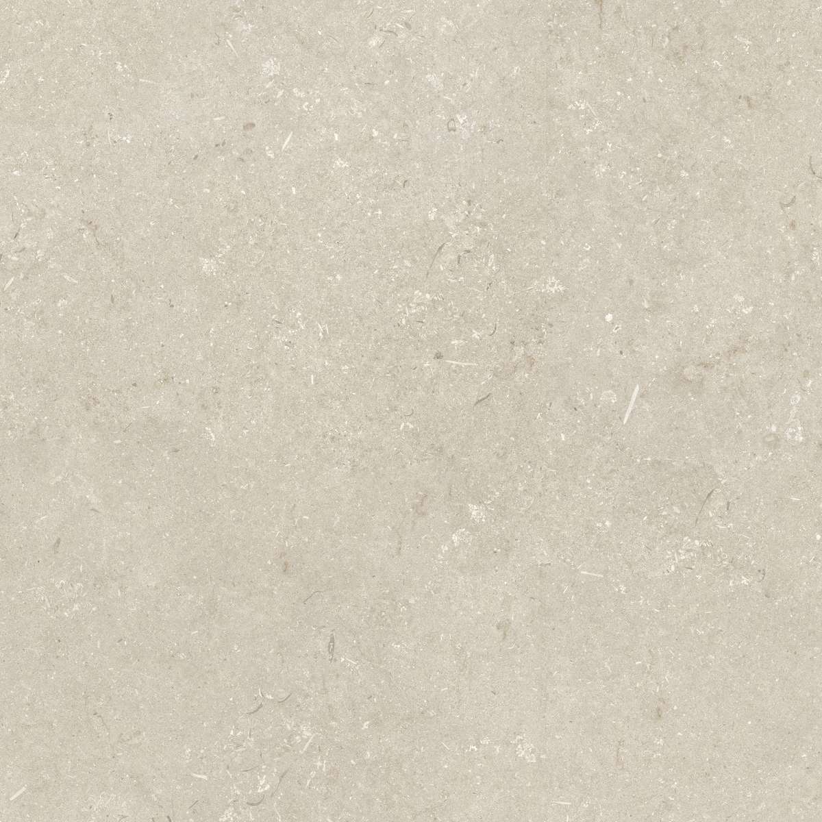 Dado Ceramica Shellstone Beige 120x120 -4