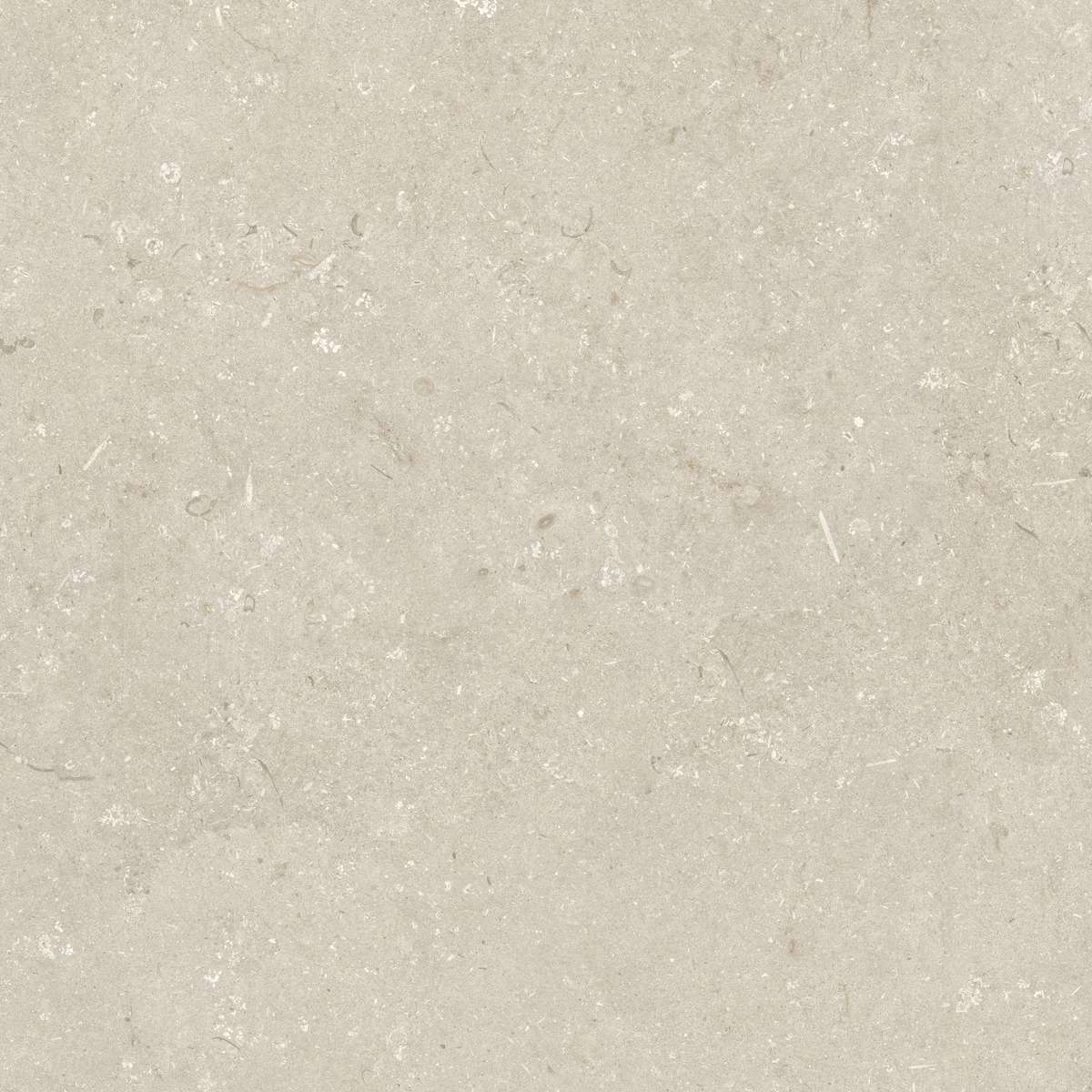 Dado Ceramica Shellstone Beige 120x120 -5
