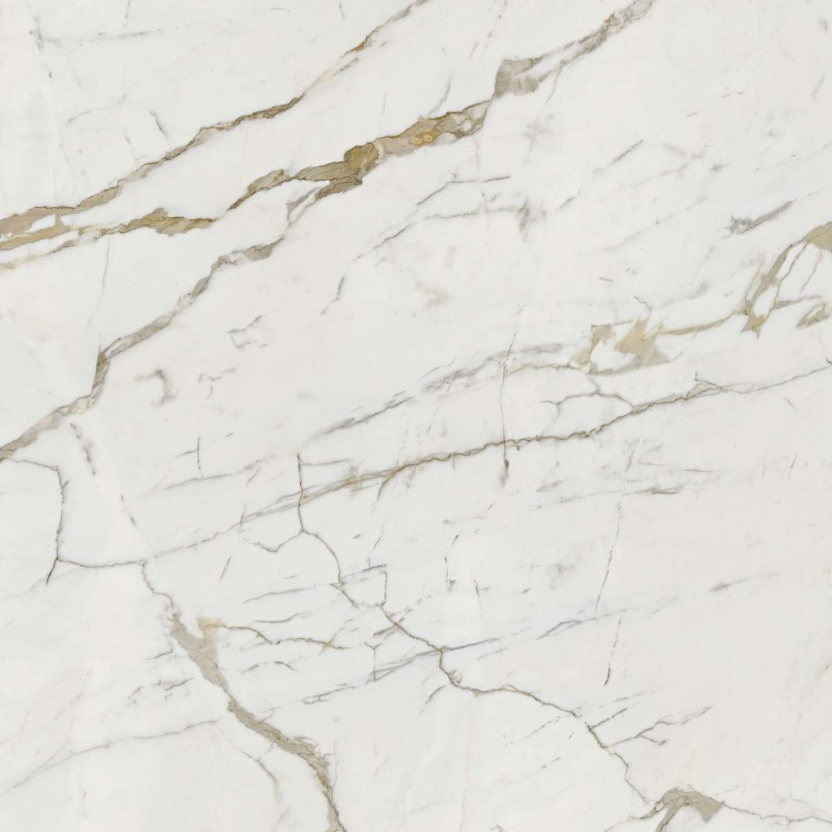 Calacatta Oro 120x120 (1200x1200)