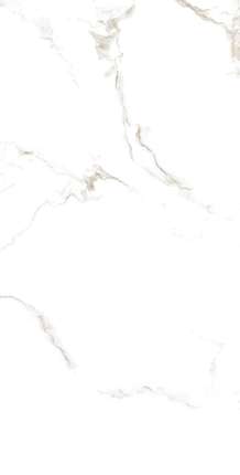 Dali Ceramico Calacatta Grace Glossy 60x120