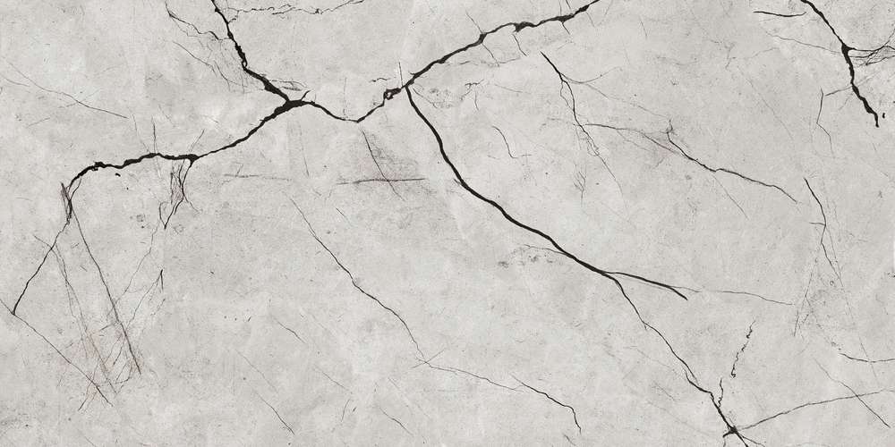 Grey Glossy 60x120 (1200x600)
